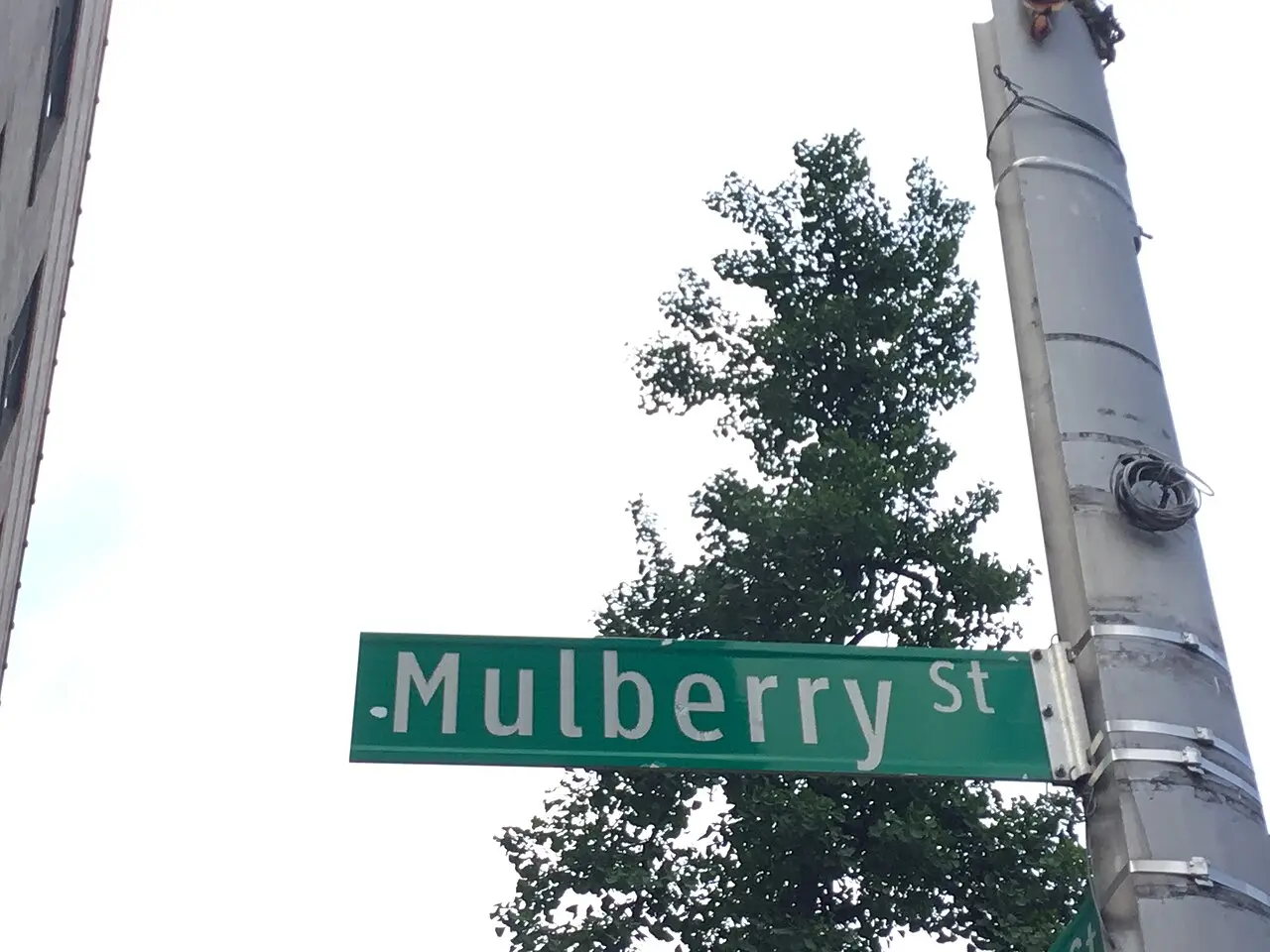 The street outside The Grey Dog