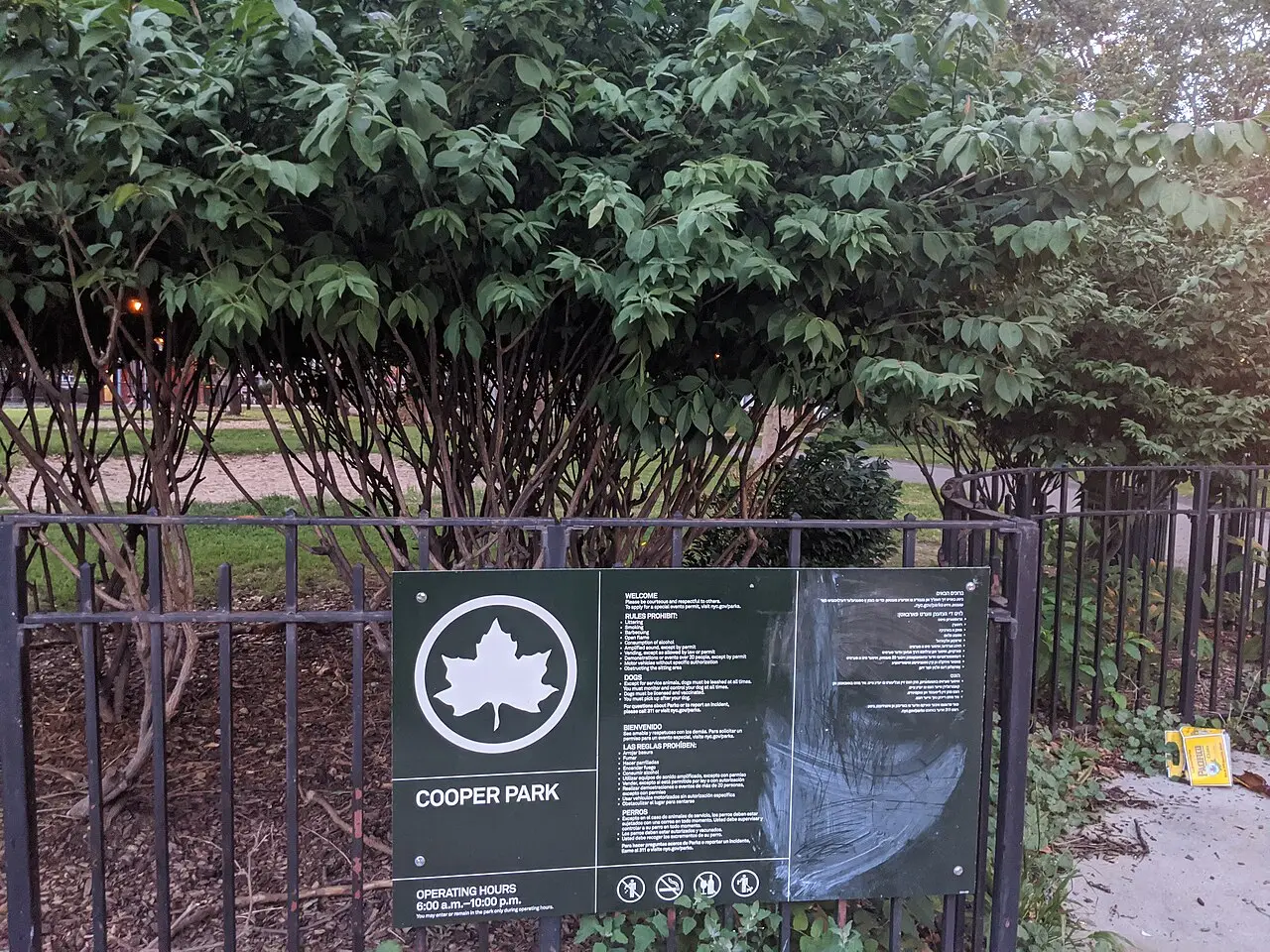 Brooklyn, the neighborhood around Polygon